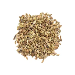 AJWAIN SEEDS BULK