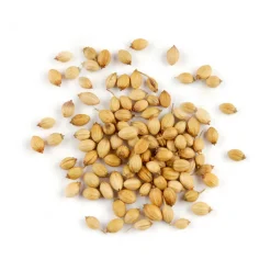 CORIANDER WHOLE NUTRIVILLA BAG 50 G (1.76 oz)