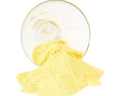 ONION SALT BULK