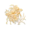 ONION SLICES BULK